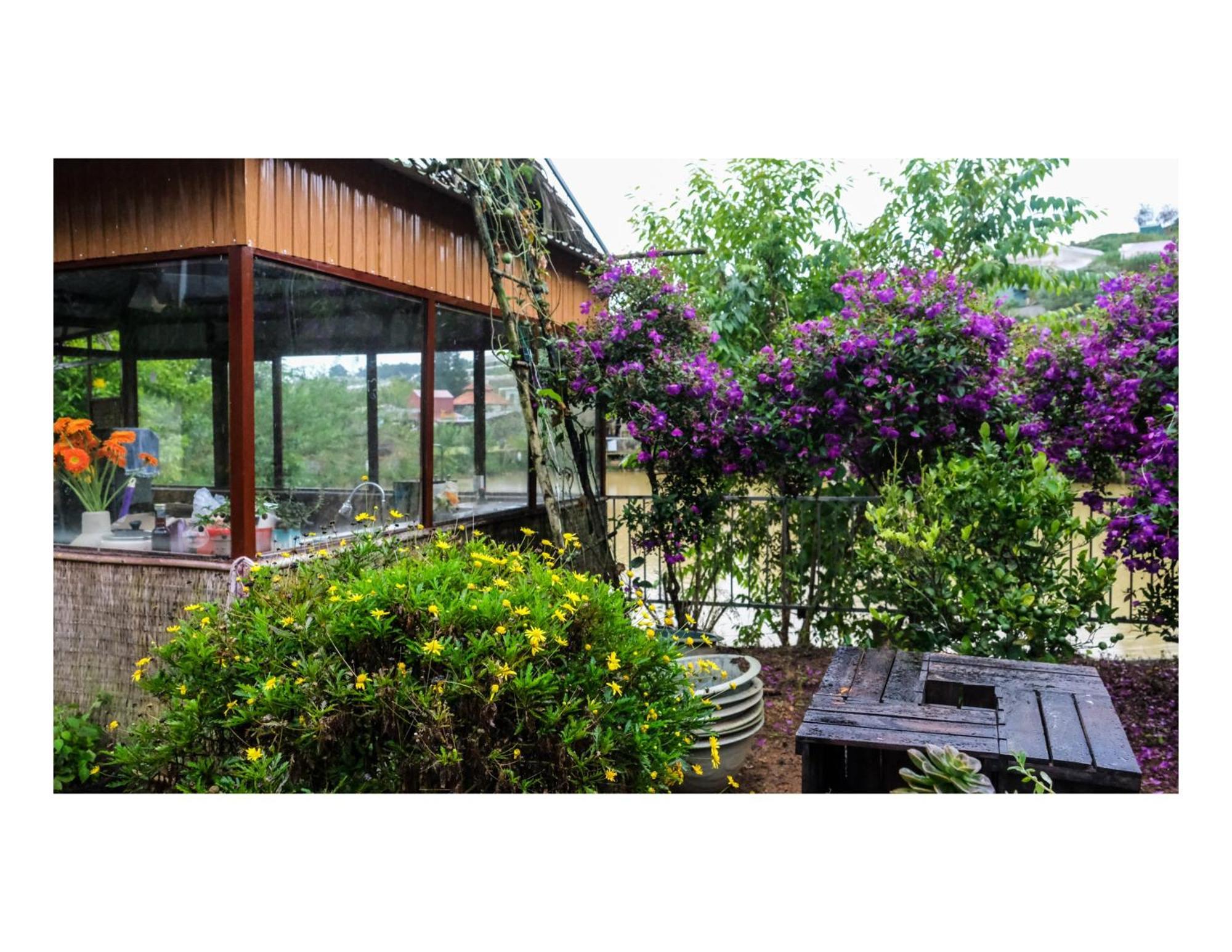 Nha Ben Ho - Da Lat Homestay Esterno foto