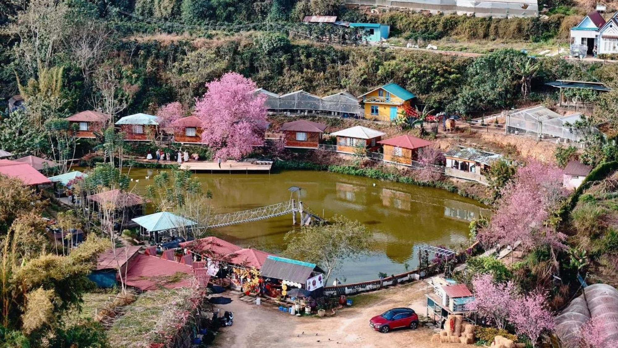 Nha Ben Ho - Da Lat Homestay Esterno foto