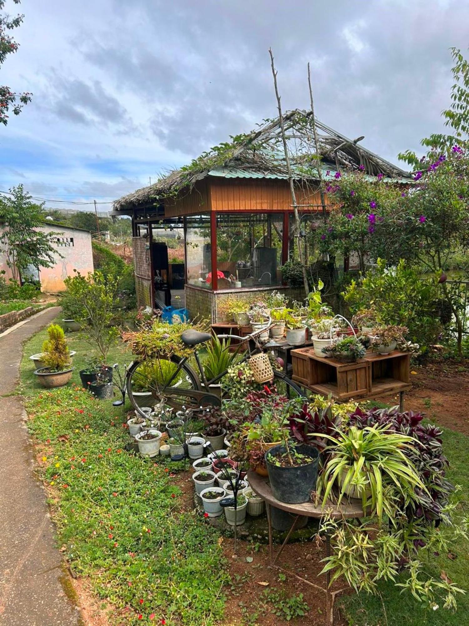 Nha Ben Ho - Da Lat Homestay Esterno foto