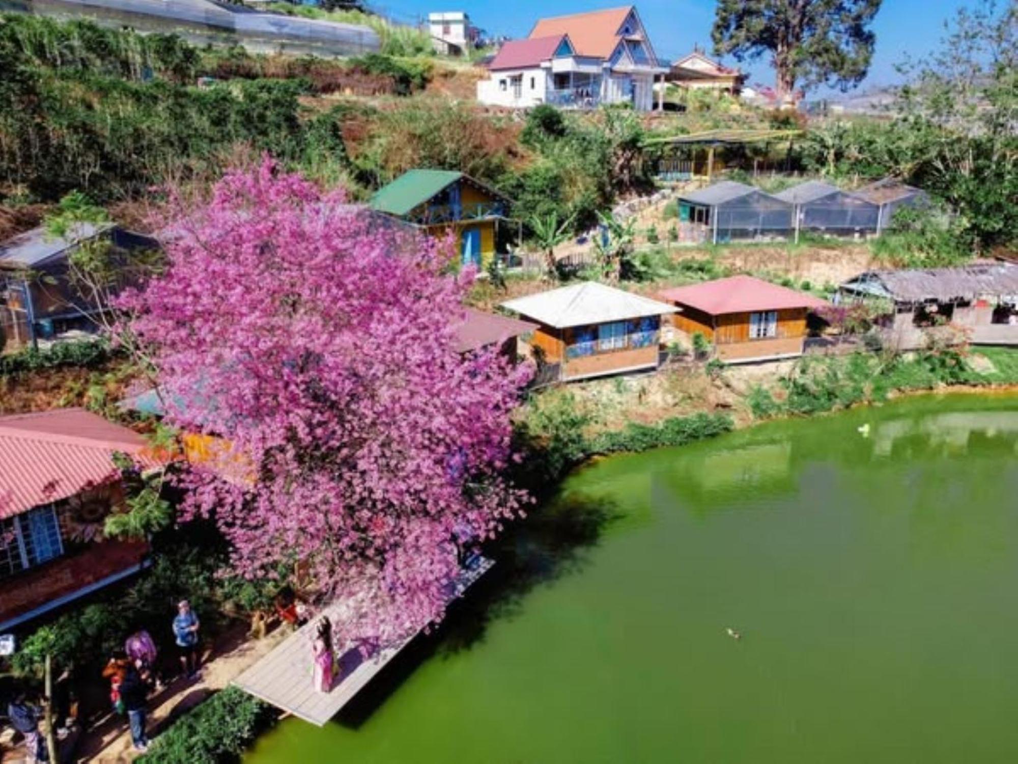 Nha Ben Ho - Da Lat Homestay Esterno foto