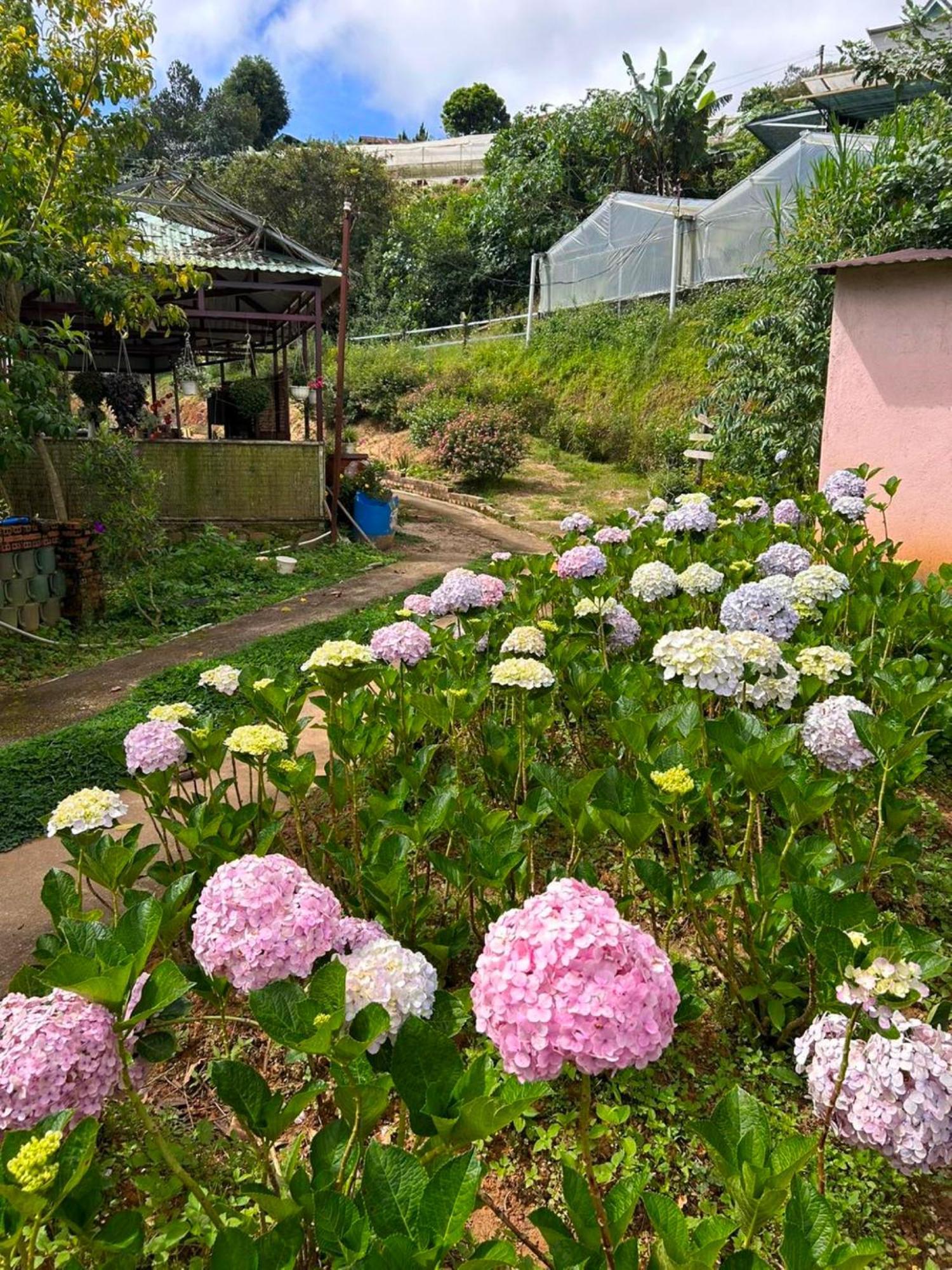Nha Ben Ho - Da Lat Homestay Esterno foto