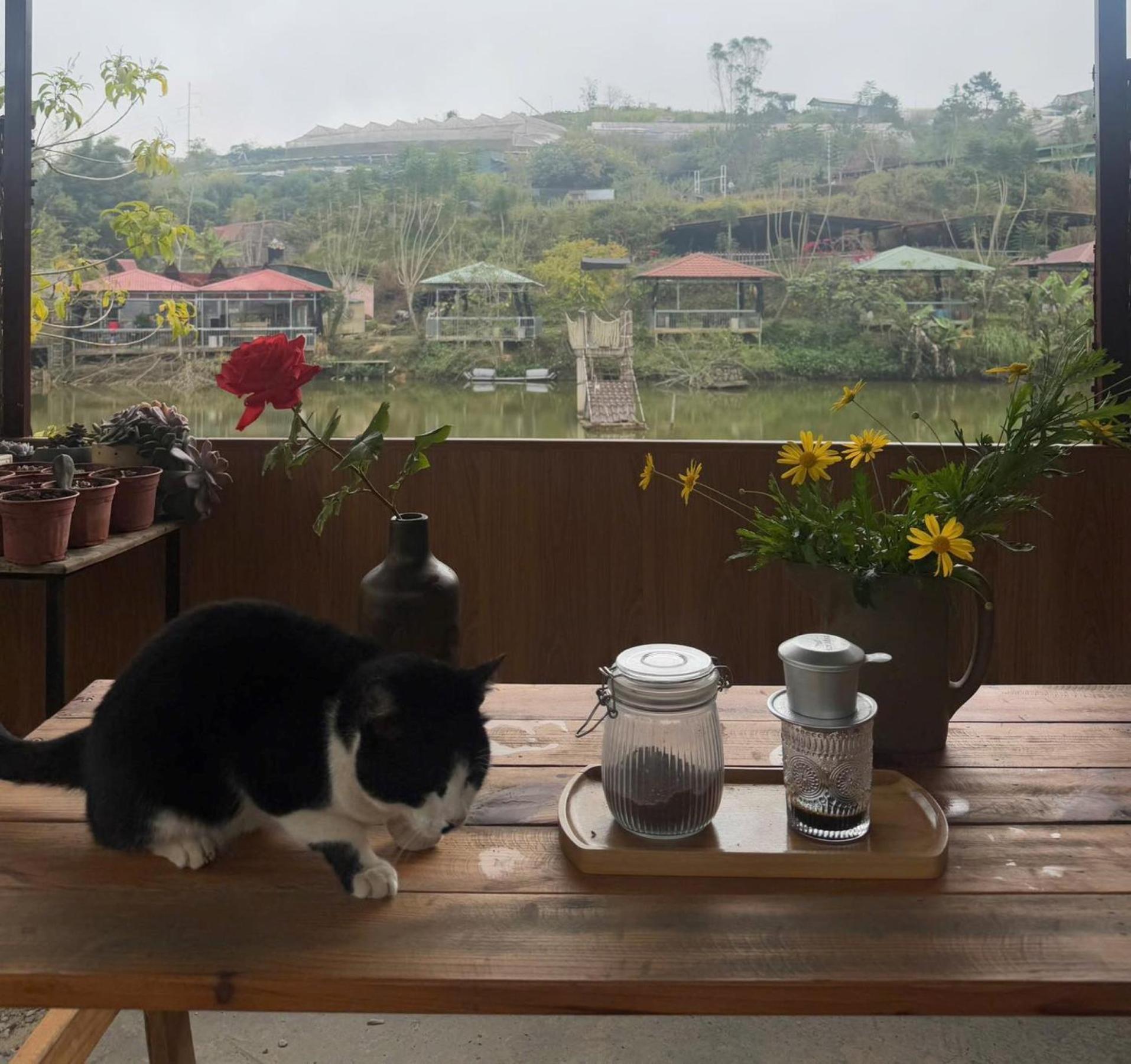 Nha Ben Ho - Da Lat Homestay Esterno foto