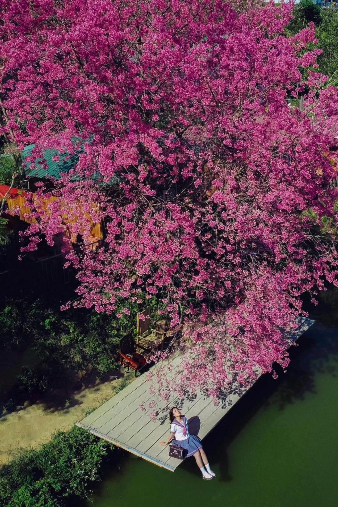 Nha Ben Ho - Da Lat Homestay Esterno foto