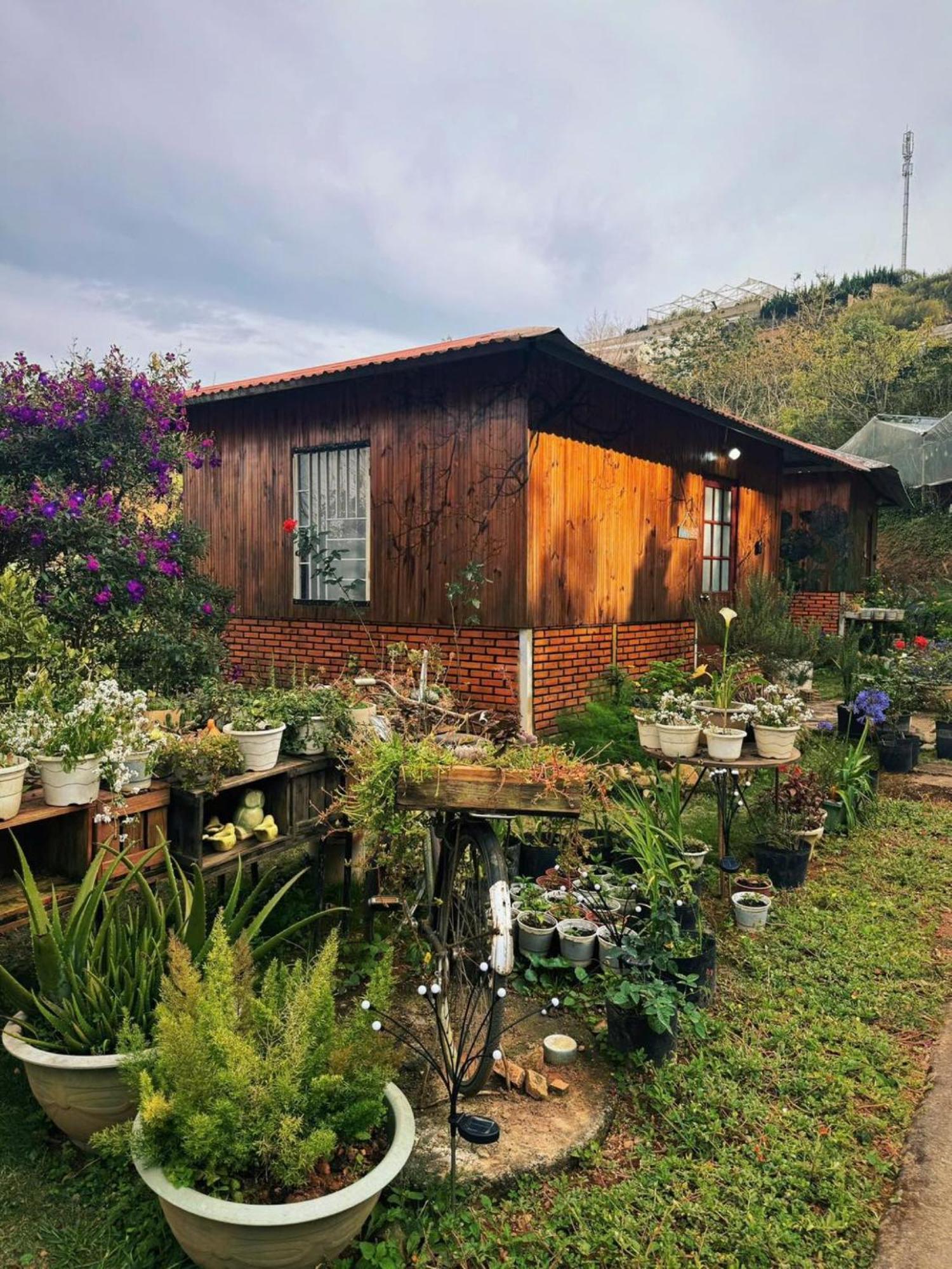 Nha Ben Ho - Da Lat Homestay Esterno foto