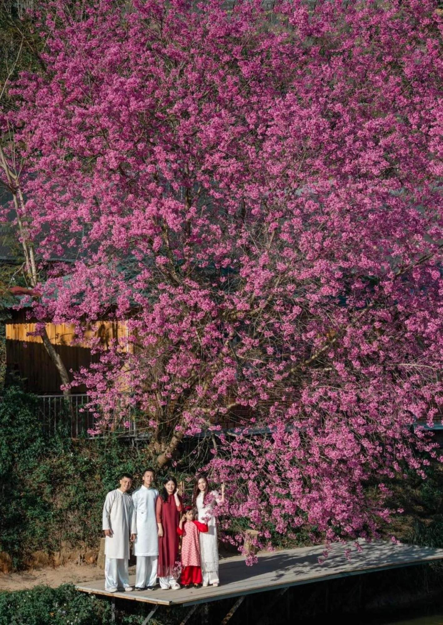 Nha Ben Ho - Da Lat Homestay Esterno foto