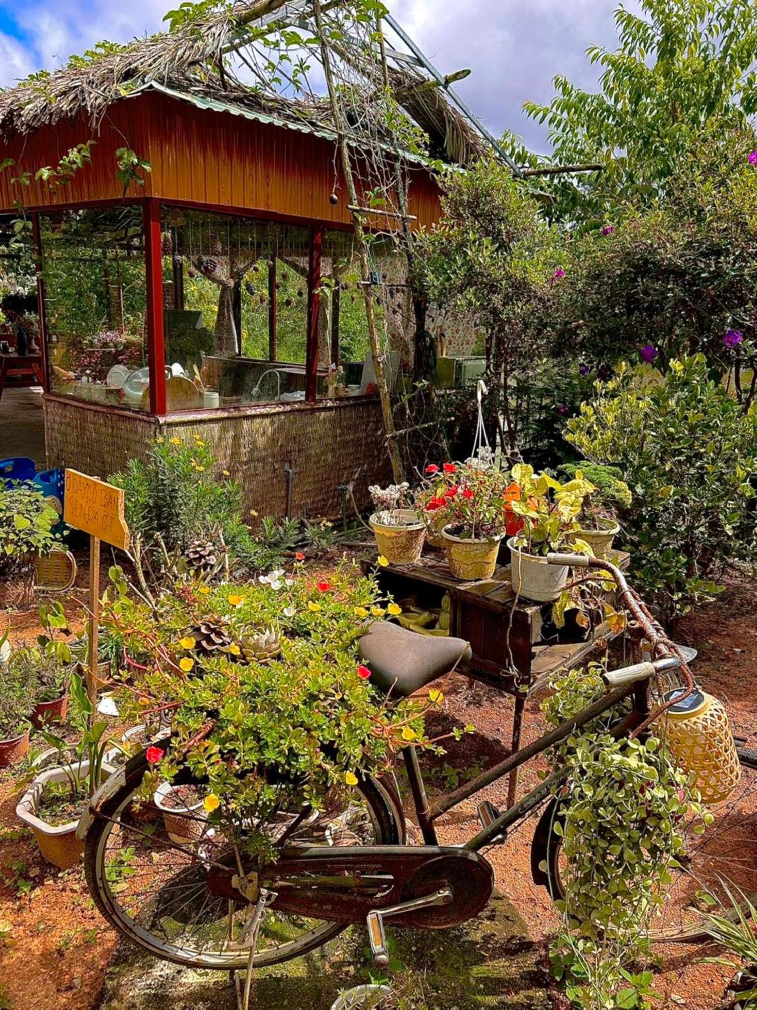 Nha Ben Ho - Da Lat Homestay Esterno foto