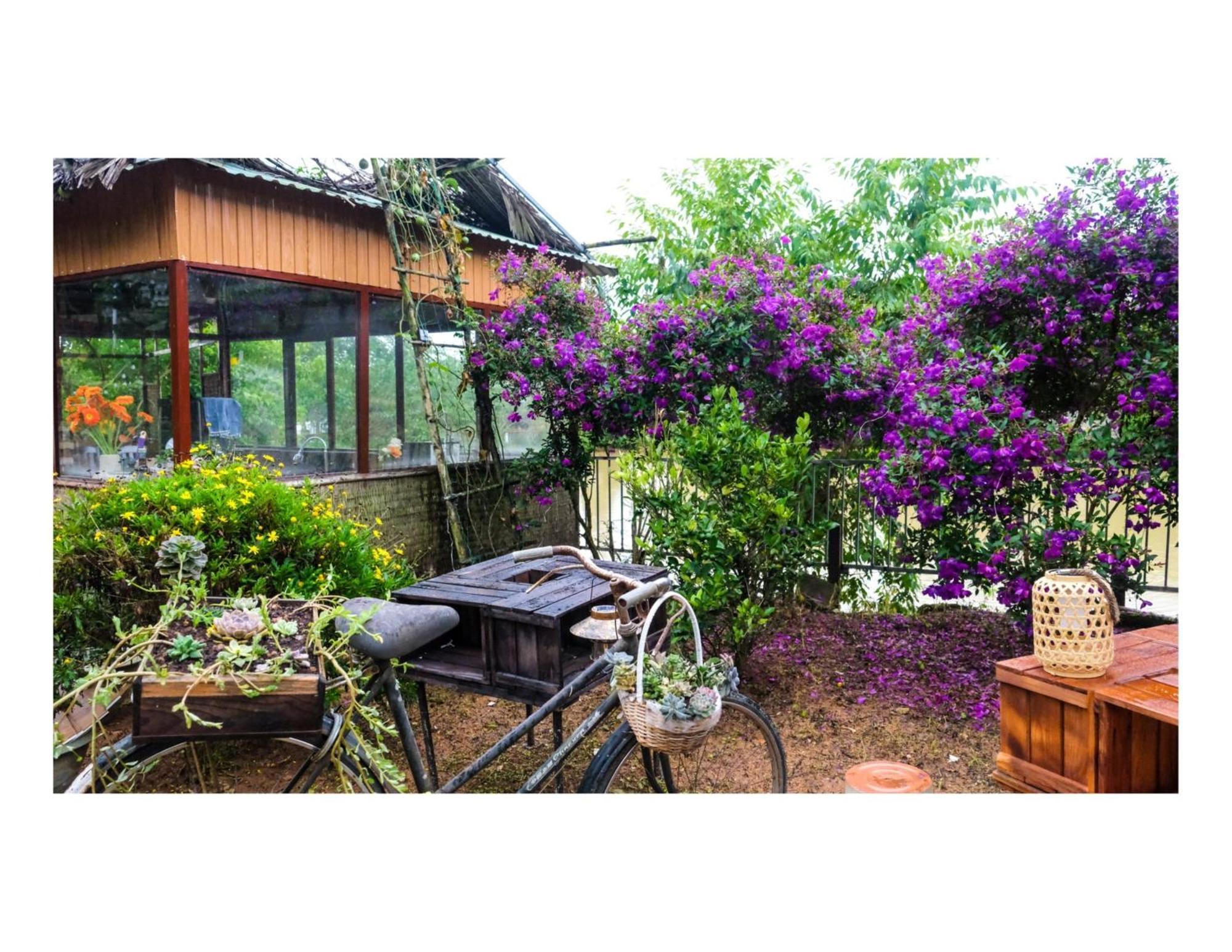 Nha Ben Ho - Da Lat Homestay Esterno foto